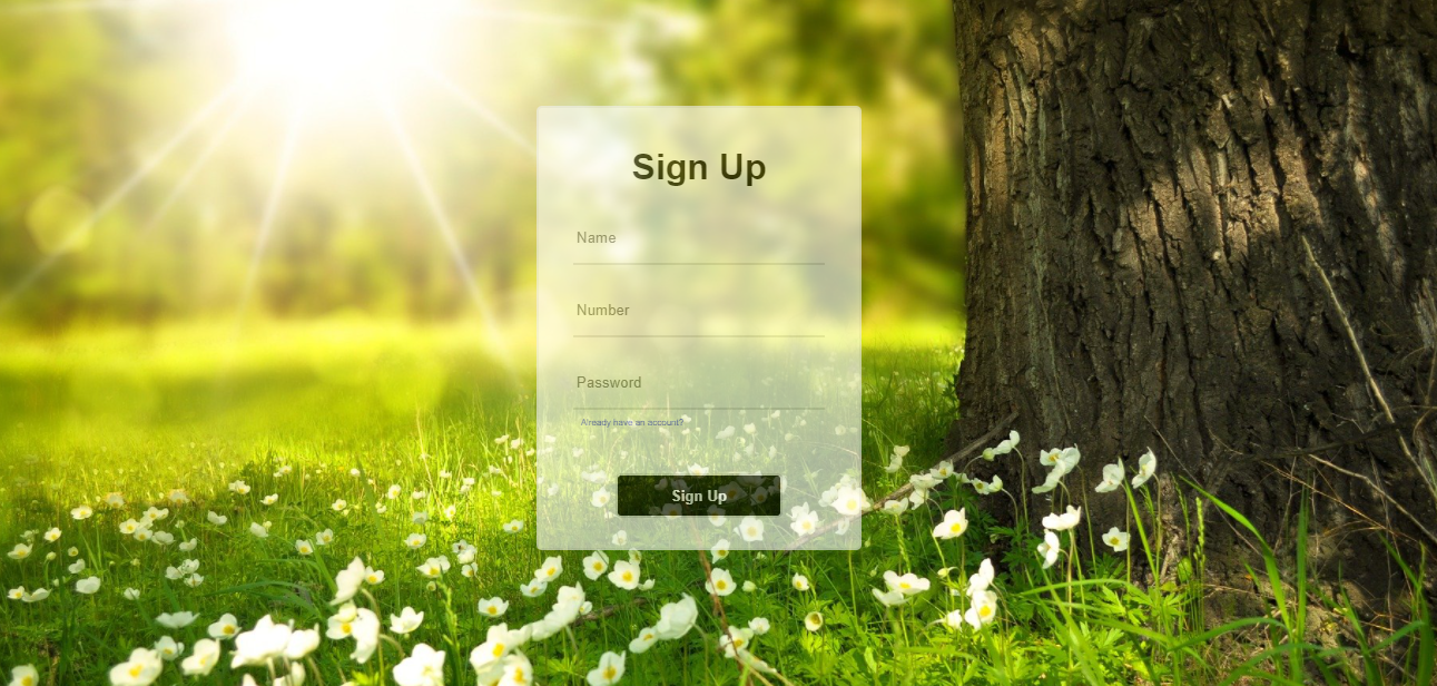 signup templates, registration forms, free signup forms, responsive signup designs, HTML CSS registration form